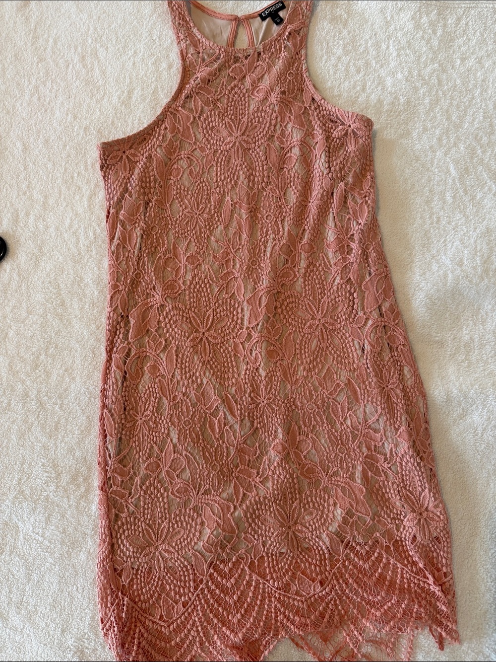 Express Lace Mini Dress in Dusty Rose